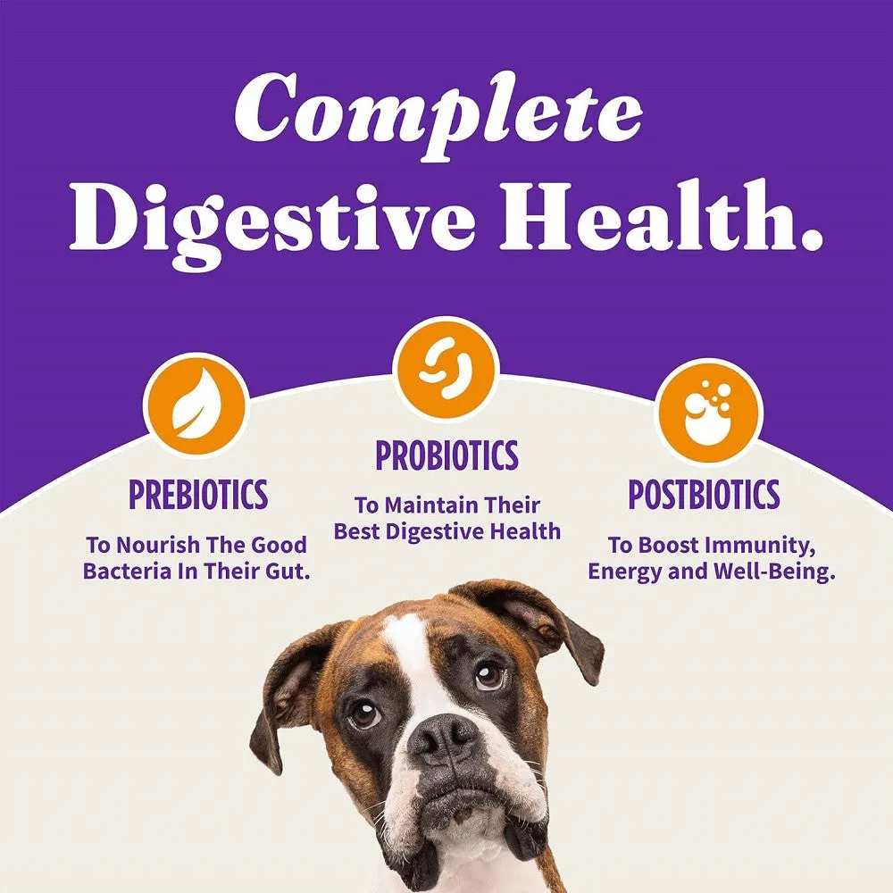 Holistic Grain Free Cage-Free Chicken and Sweet Potato Recipe Dog Dry Food