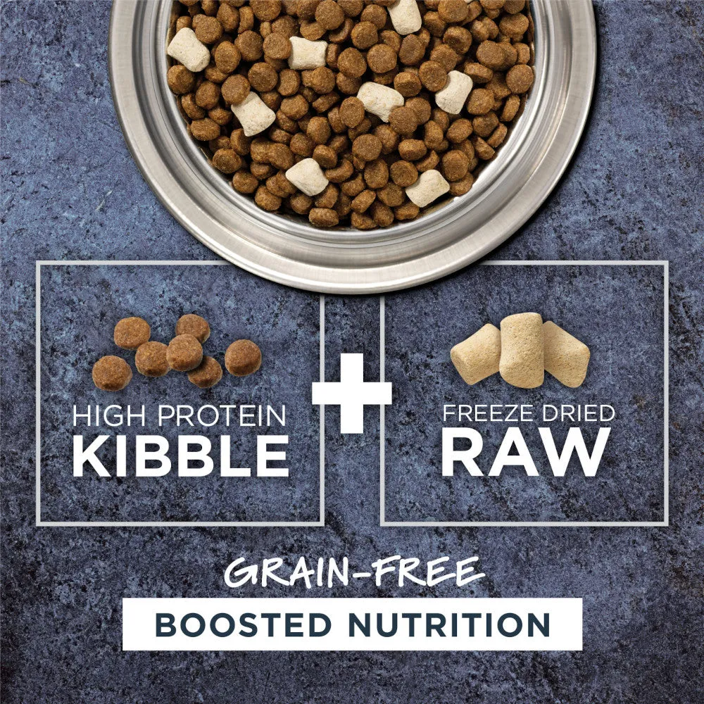 Raw Boost Grain-Free Recipe Kibble   Raw Dog Dry Food- Salmon