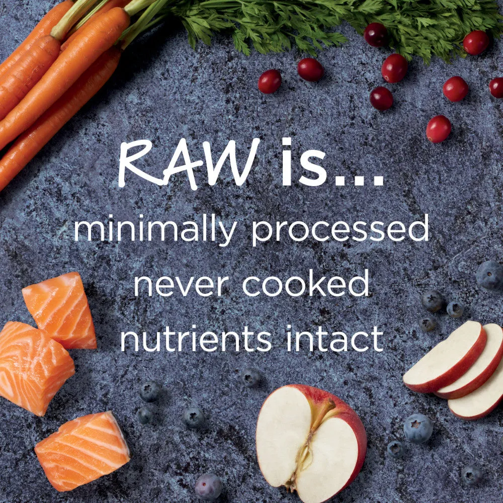 Raw Boost Grain-Free Recipe Kibble   Raw Dog Dry Food- Salmon